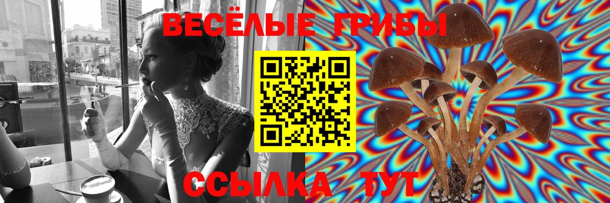 Реж  Галлюциногенные грибы Psilocybe  Вход с VPN  Галлюциногенные грибы MAGIC MUSHROOMS 